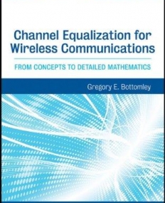 Channel Equalization for Wireless Communications: From Concepts to Detailed Mathematics