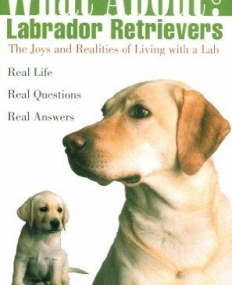 What About Labrador Retrievers