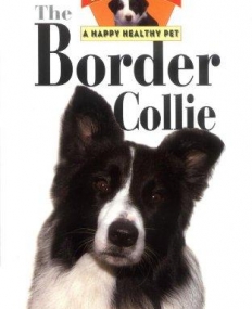 Border Collie: An Owner's Guide to a Happy Healthy Pet