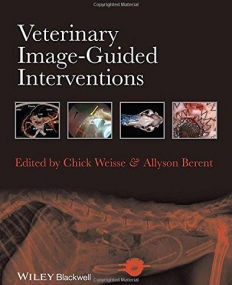 Veterinary Image-Guided Interventions