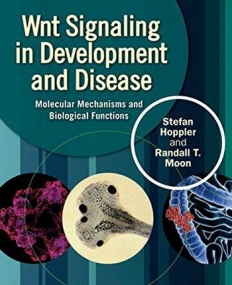 Wnt Signaling in Development and Disease: Molecular Mechanisms and Biological Functions