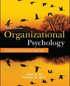 Organizational Psychology: A Scientist-Practitioner Approach,3e