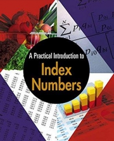 Practical Introduction to Index Numbers