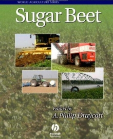 Sugar Beet