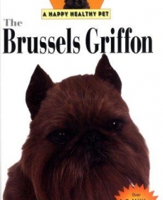 Brussels Griffon A Happy Healthy Pet