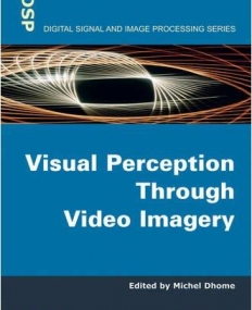 Visual Perception Through Video Imagery