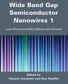 Wide Band Gap Semiconductor Nanowires for Optical Devices: Low-Dimensionality Related Effects and Growth