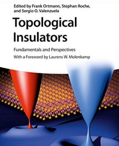 Topological Insulators: Fundamentals and Perspectives