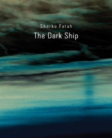 The Dark Ship (Seagull Books - The German List)