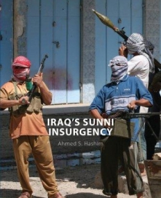 IRAQS SUNNI INSURGENCY