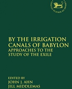 By the Irrigation Canals of Babylon: Approaches to the Study of the Exile (The Library of Hebrew Bible/Old Testament Studies)