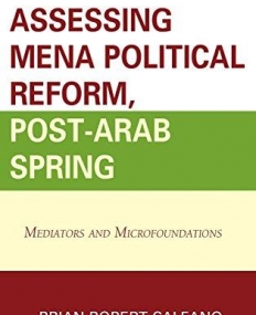 Assessing MENA Political Reform, Post-Arab Spring: Mediators and Microfoundations