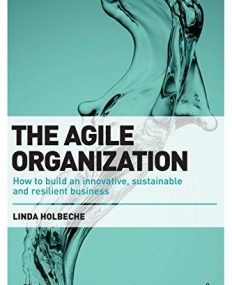 The Agile Organization: How to Build an Innovative, Sustainable and Resilient Business