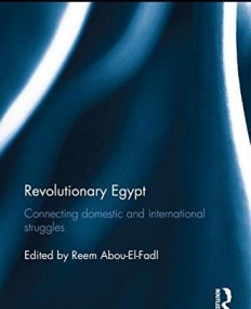 Revolutionary Egypt: Connecting Domestic and International Struggles (Routledge Studies in Middle Eastern Democratization and Government)