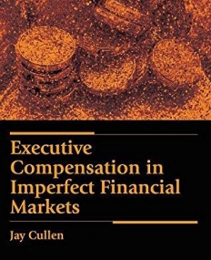 Executive Compensation in Imperfect Financial Markets (Elgar Financial Law series)
