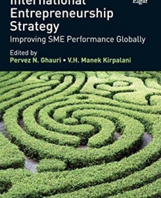 Handbook of Research on International Entrepreneurship Strategy: Improving Sme Performance Globally (Research Handbooks in Business and Management Se