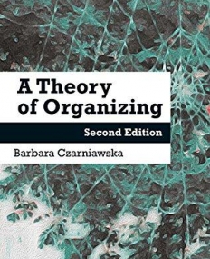 A Theory of Organizing: Second Edition (2015)