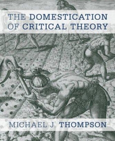 The Domestication of Critical Theory