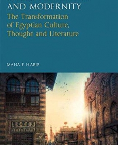 Muslim Identities and Modernity: The Transformation of Egyptian Culture, Thought and Literature (Library of Modern Middle East Studies)