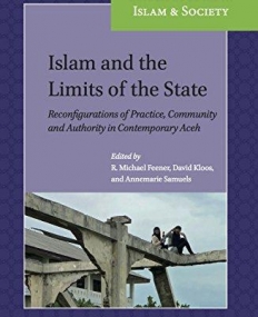 Islam and the Limits of the State (Leiden Studies in Islam and Society)