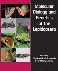 MOLECULAR BIOLOGY AND GENETICS OF THE LEPIDOPTERA