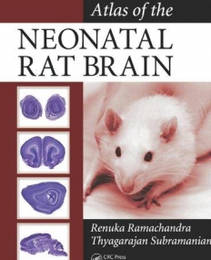 ATLAS OF THE NEONATAL RAT BRAIN