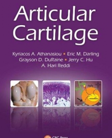 ARTICULAR CARTILAGE