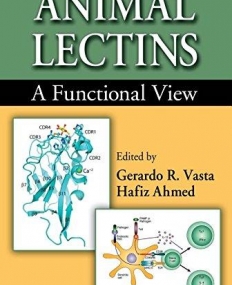 ANIMAL LECTINS A FUNCTIONAL VIEW