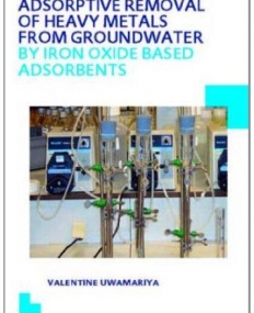 Adsorptive Removal of Heavy Metals from Groundwater by Iron Oxide Based Adsorbents: UNESCO-IHE PhD Thesis