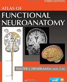 Atlas of Functional Neuroanatomy, Third Edition