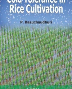 Cold Tolerance in Rice Cultivation