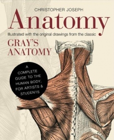 Anatomy