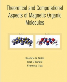 Theoretical and Computational Aspects of Magnetic Organic Molecules