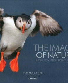 The Image of Nature: How to Catch Light & Life