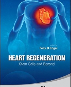 HEART REGENERATION: STEM CELLS AND BEYOND