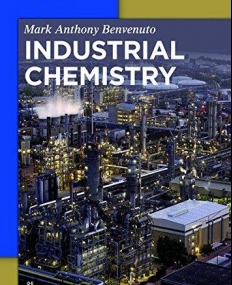 Industrial Chemistry (De Gruyter Graduate)