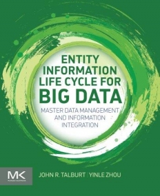 Entity Information Life Cycle for Big Data