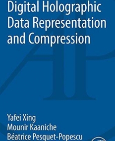 Digital Holographic Data Representation and Compression