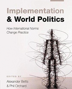 Implementation and World Politics: How International Norms Change Practice