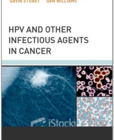 HPV and Other Infectious Agents in Cancer: Opportunities for Prevention and Public Health