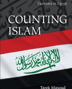 Counting Islam: Religion, Class, and Elections in Egypt (Problems of International Politics)