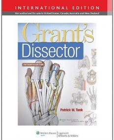 Grant's Dissector - IE, 15e