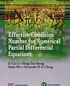 Effective Condition Number for Numerical
 Partial Differential Equations