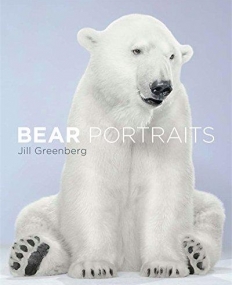 Bear Portraits