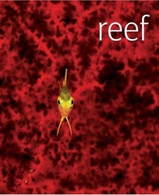 REEF