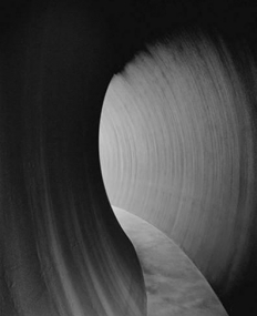 Richard Serra 2014