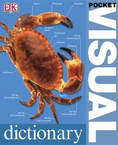 Visual Dictionary : English