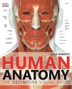 Human Anatomy