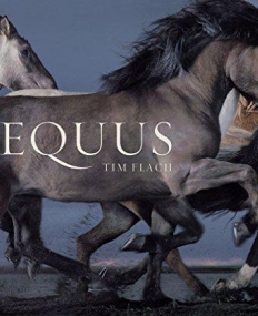 Equus (Mini)