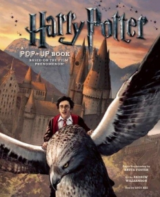 HARRY POTTER:  A POP-UP BOOK (popup)